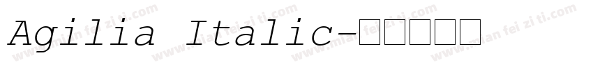 Agilia Italic字体转换